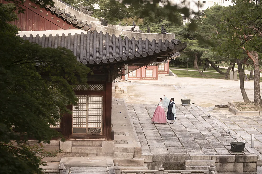 창경궁 야외 스냅과 필름 기록 13